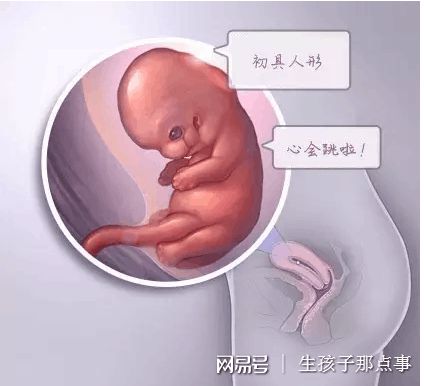 就诊指南
